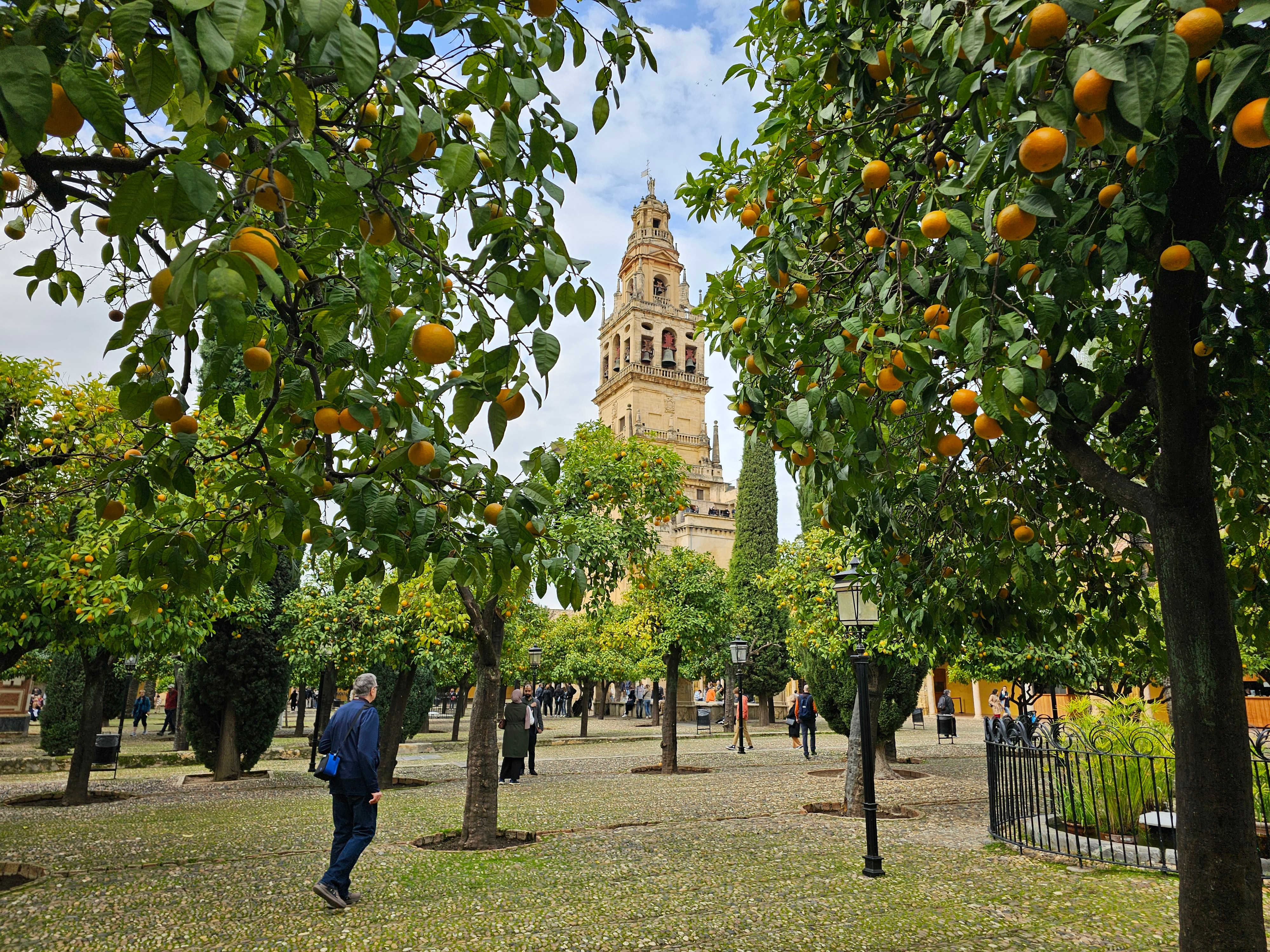 S_Spain